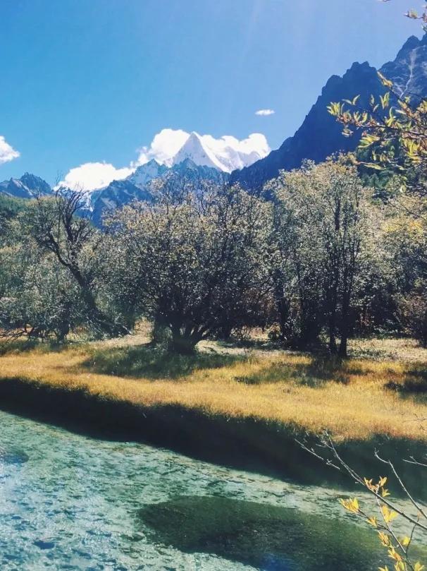 稻城亚丁春天视频,稻城亚丁春天风景