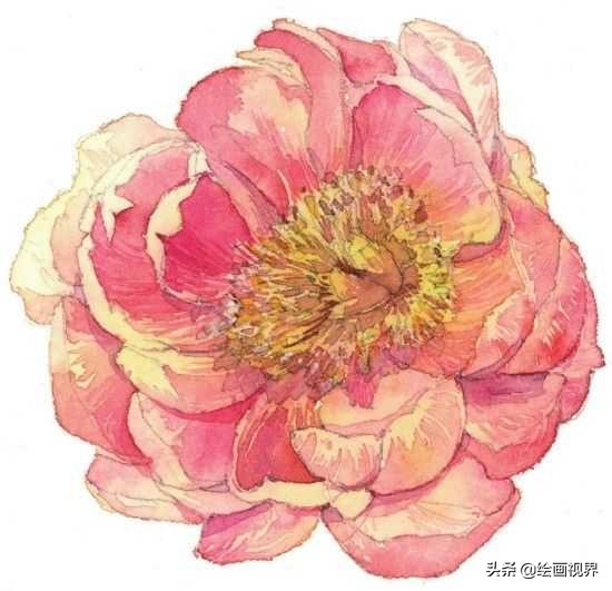 怎么才能画好水彩画,如何画好水彩只需掌握这5点