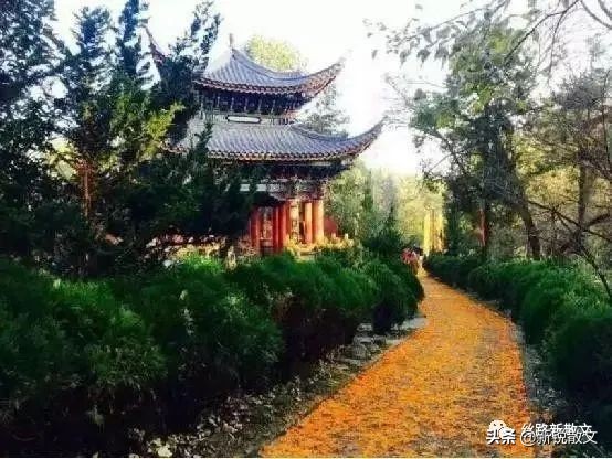 大理的寺庙,大理寺僧人