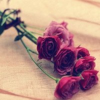 翡翠鉴别一般怎么鉴定,怎样辨别真假翡翠最有效的方法