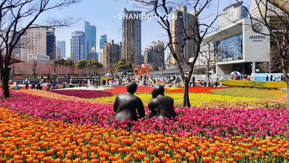 万株郁金香春天,一百万株郁金香