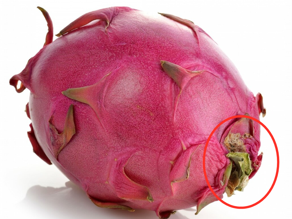 买火龙果黄心,买火龙果是买红色的还是白色的