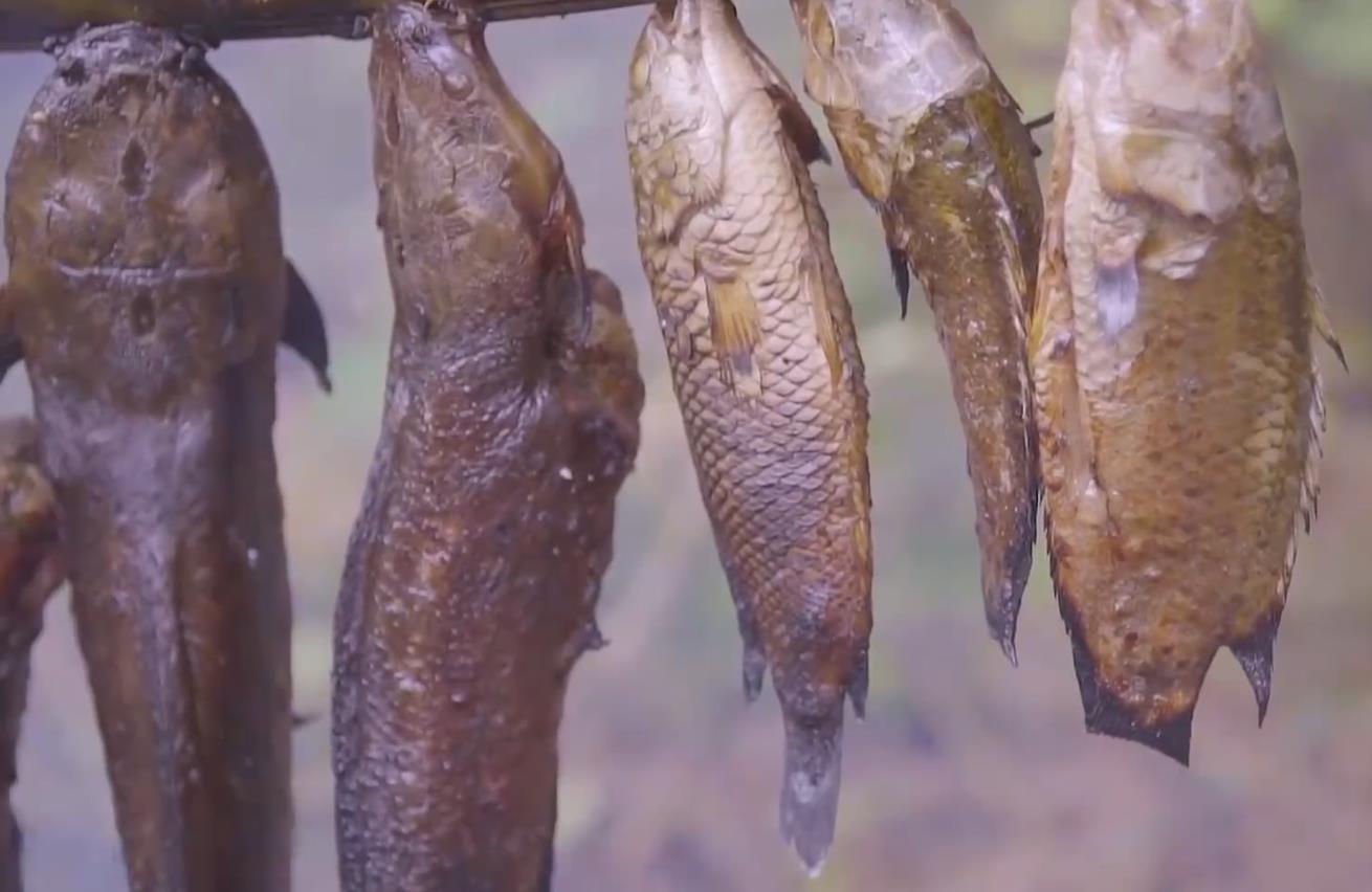 漂亮的野外烤鱼,野外吃美味烤鱼