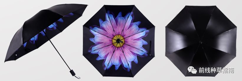 五一出游必备十大指南,五一旅游要避开哪些坑