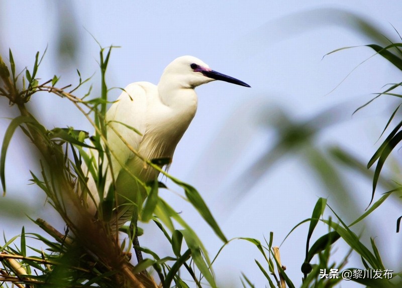 常熟地图全图大图沙家浜,常熟沙家浜风景区公交车
