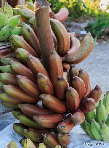 洪都拉斯为什么要去美国,为什么洪都拉斯要去美国