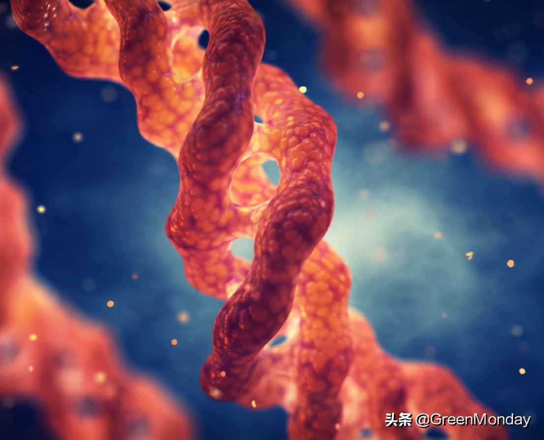 素食胶原蛋白产品,素食者怎么样补充胶原蛋白