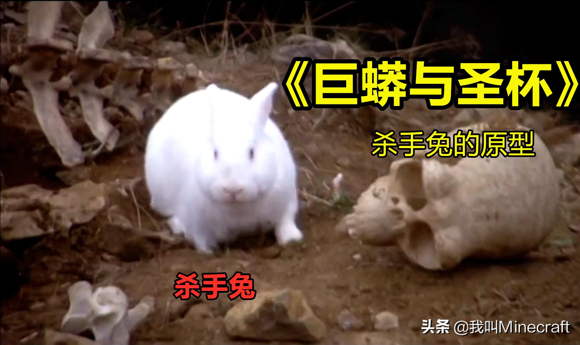 我的世界基岩版怎么召唤杀手兔 (我的世界杀手兔vs所有生物)