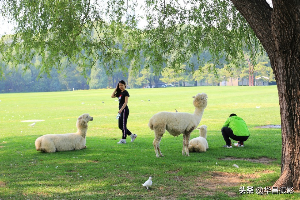 北京紫玉山庄简介,北京紫玉山庄公园