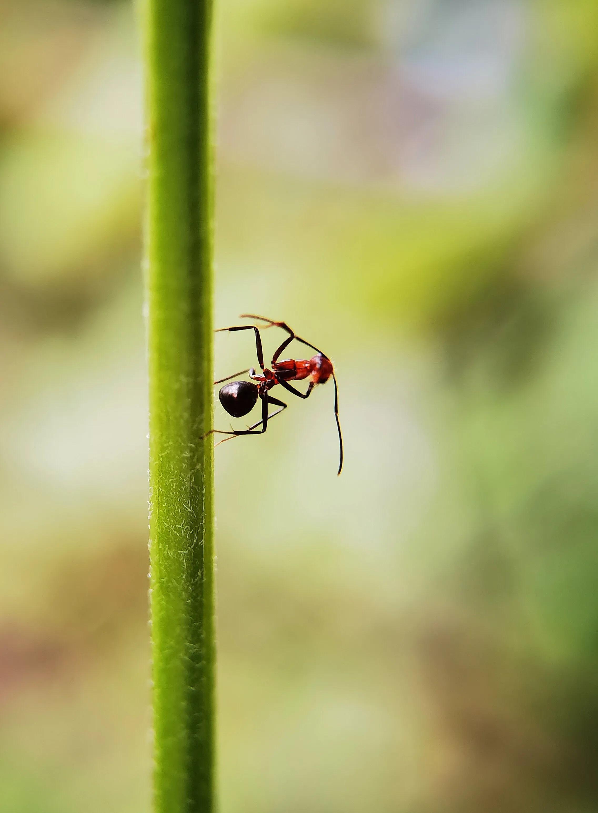 手拍世界作品集402期,2022年世界手机摄影大赛征稿