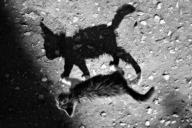 多重曝光实例拍摄讲解,精彩照片制作视频