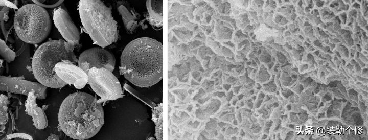 硅藻泥使用五年后的真实感受,硅藻泥是商业骗局吗