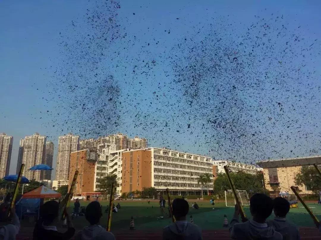 微巡礼丨南山“后起之秀”—深圳市第二高级中学