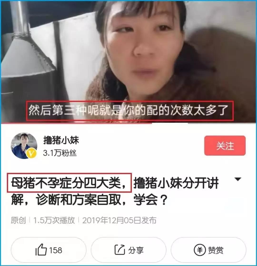 知识付费抖音小店运营课程,算法知识付费