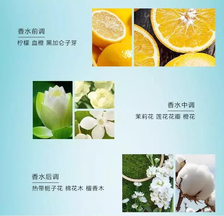 安娜苏2018限定香水,安娜苏精灵系列香水味道