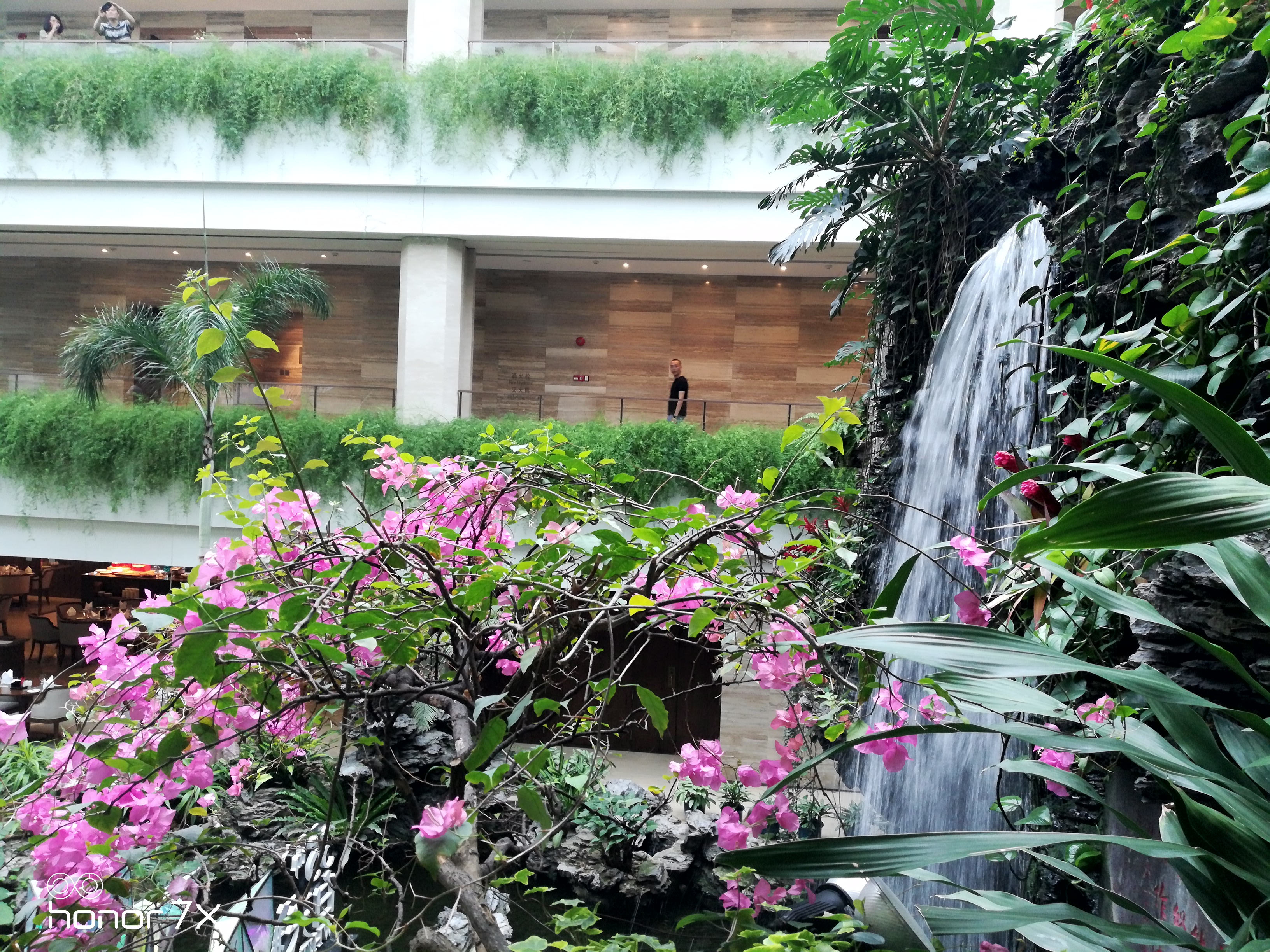 广州市白天鹅宾馆五星级酒店,白天鹅宾馆早茶价目表