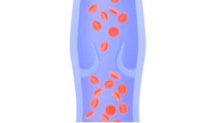 杜昕医生,杜昕安贞医院