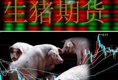 生猪期货操作规则是什么,10问10答帮你搞懂个人养老金