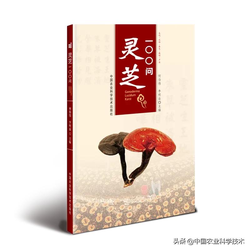 如何鉴别灵芝孢子粉真假,怎么判断灵芝有没有孢子粉