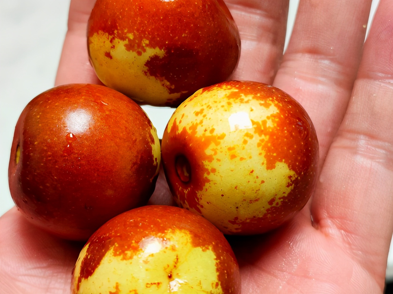 滨州有冬枣吗,产自哪里的冬枣最好吃