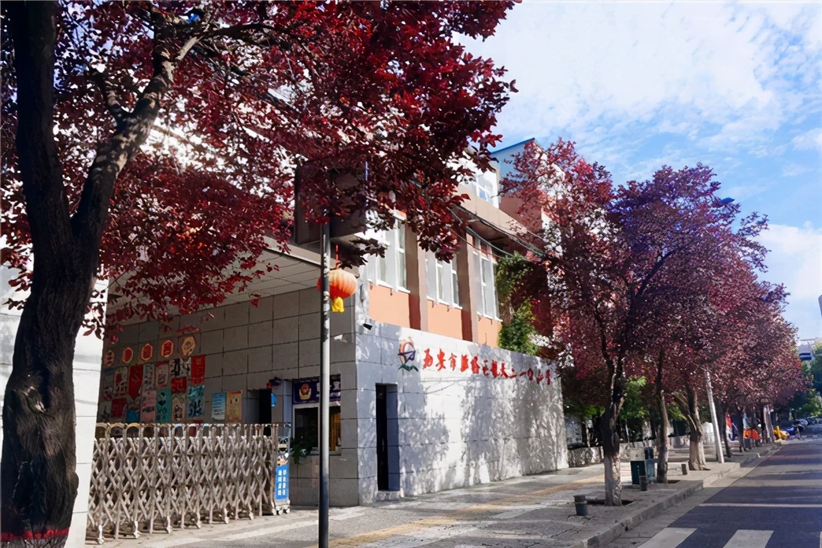 雁塔区航天210小学,航天二一小学