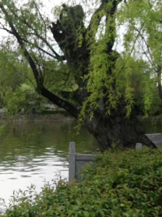 凤翔县城全景,印象凤翔