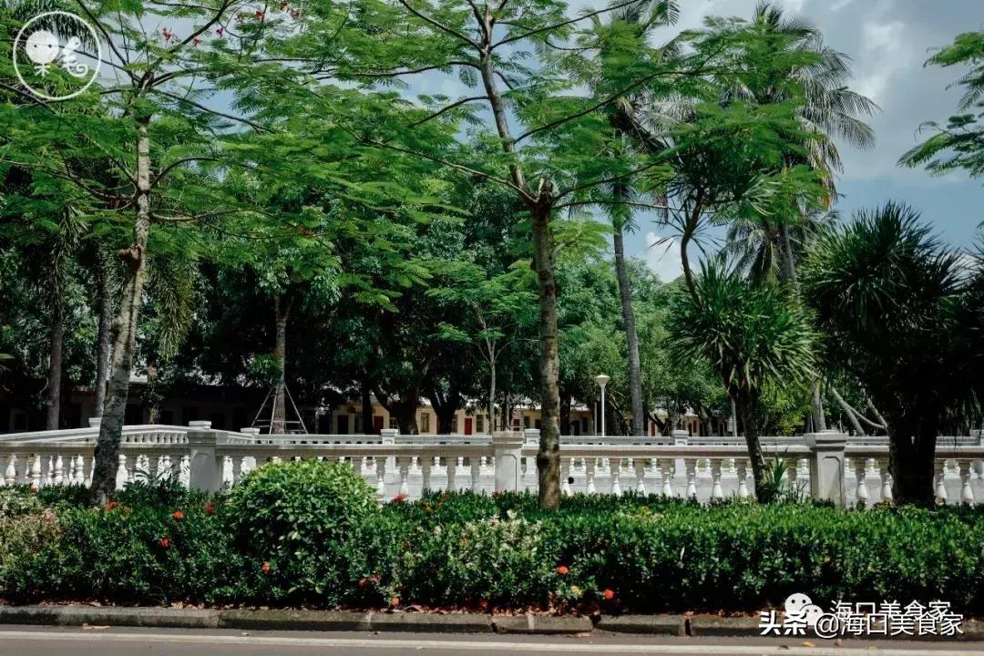 死心吧日语,死心吧