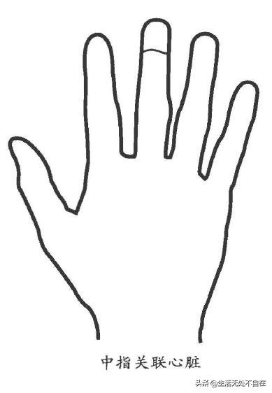五指对应的五脏的位置,五只手指代表五脏哪个部位