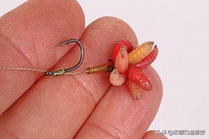 有哪些基础钓法初学者要学会,新手最稳妥的一种钓法