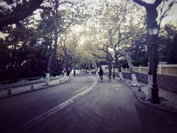 青岛八大关每个楼的故事,今天的青岛八大关