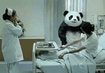 摄影点评（熊猫上班）