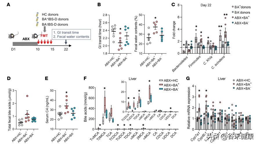 粪菌移植治疗肠易激综合征腹泻 (中药治腹泻型肠易激)