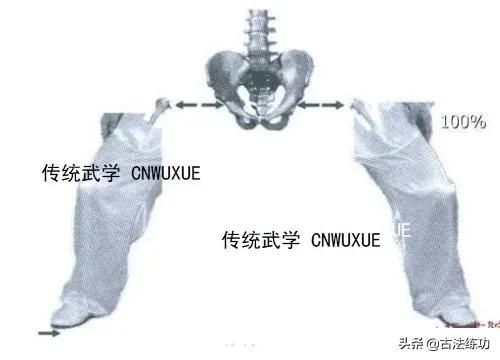 开肩减胯,提胯压肩这个动作怎么做