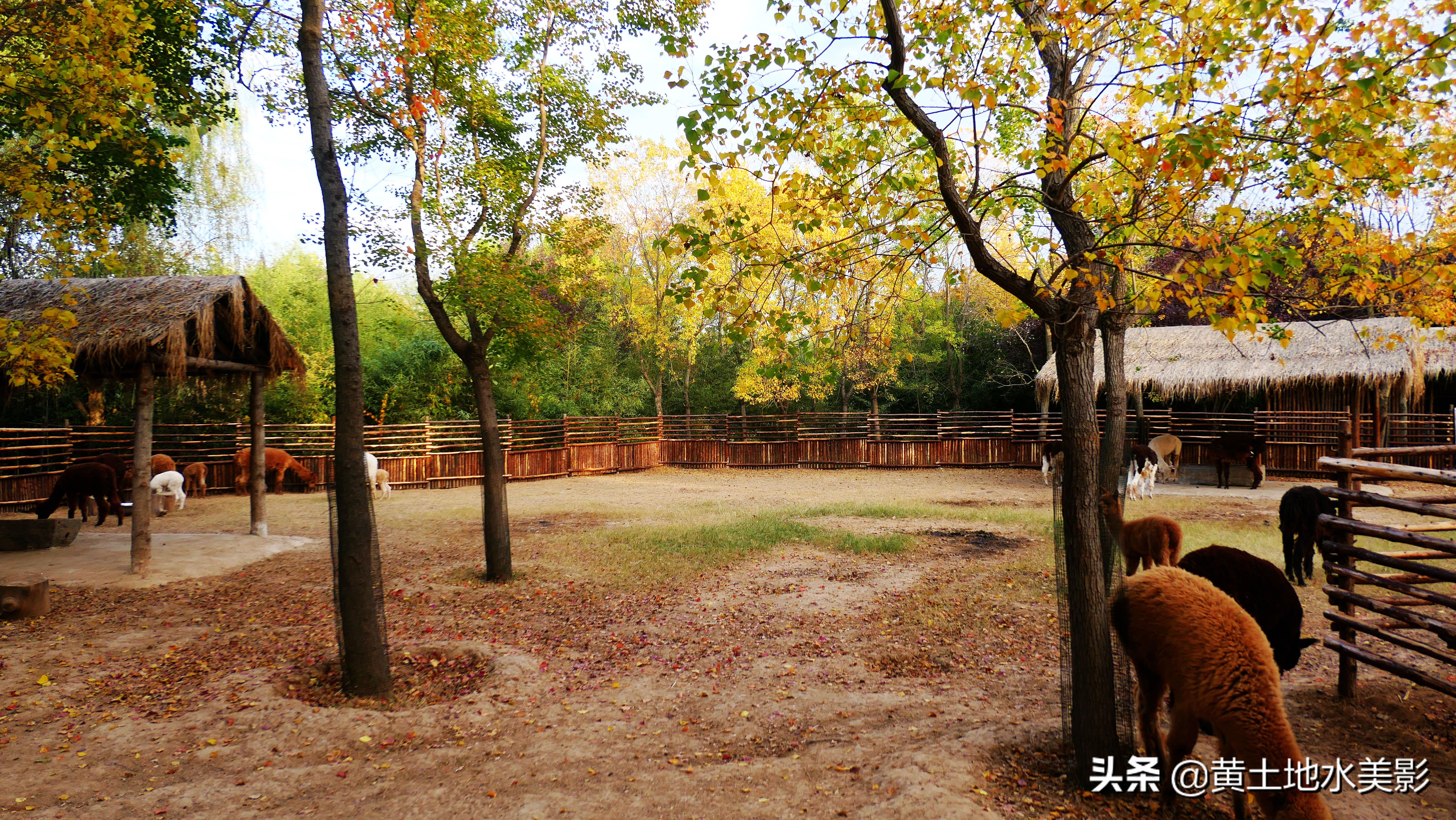 免费游玩东湖公园攻略,游玩国家湿地野鸭湖