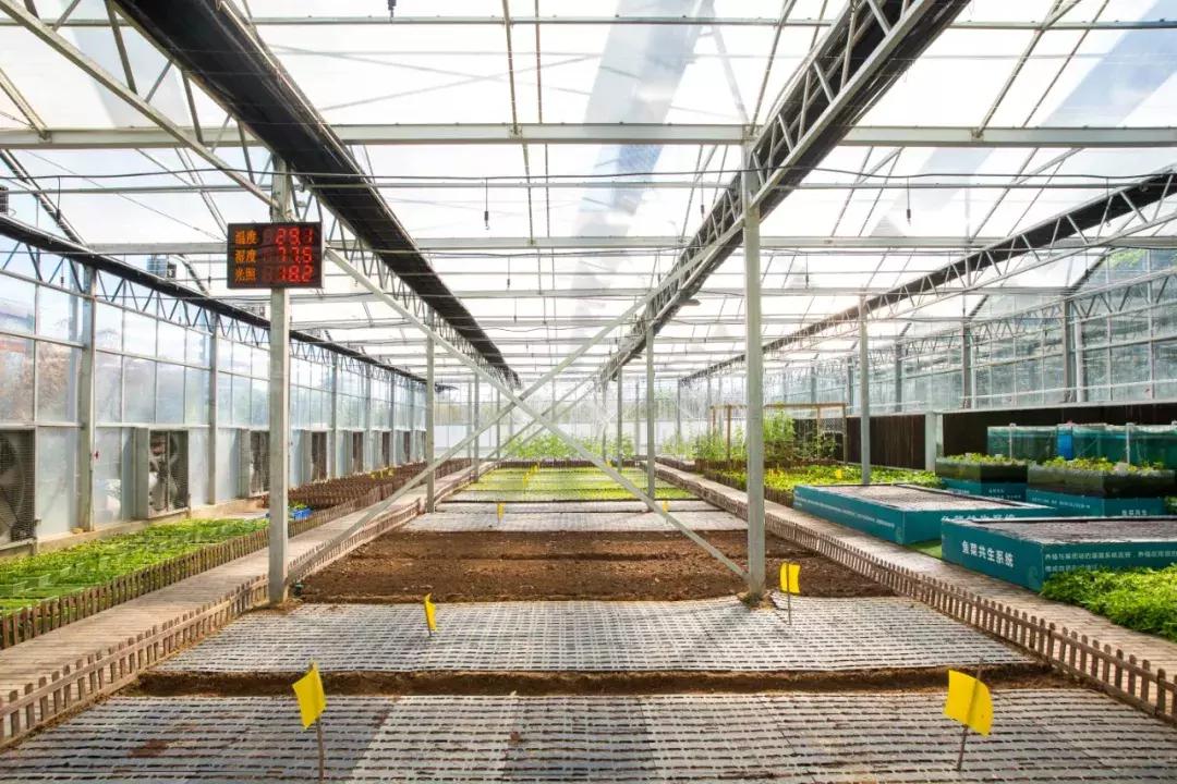 三亚轻奢度假酒店,三亚十大最豪华的度假别墅