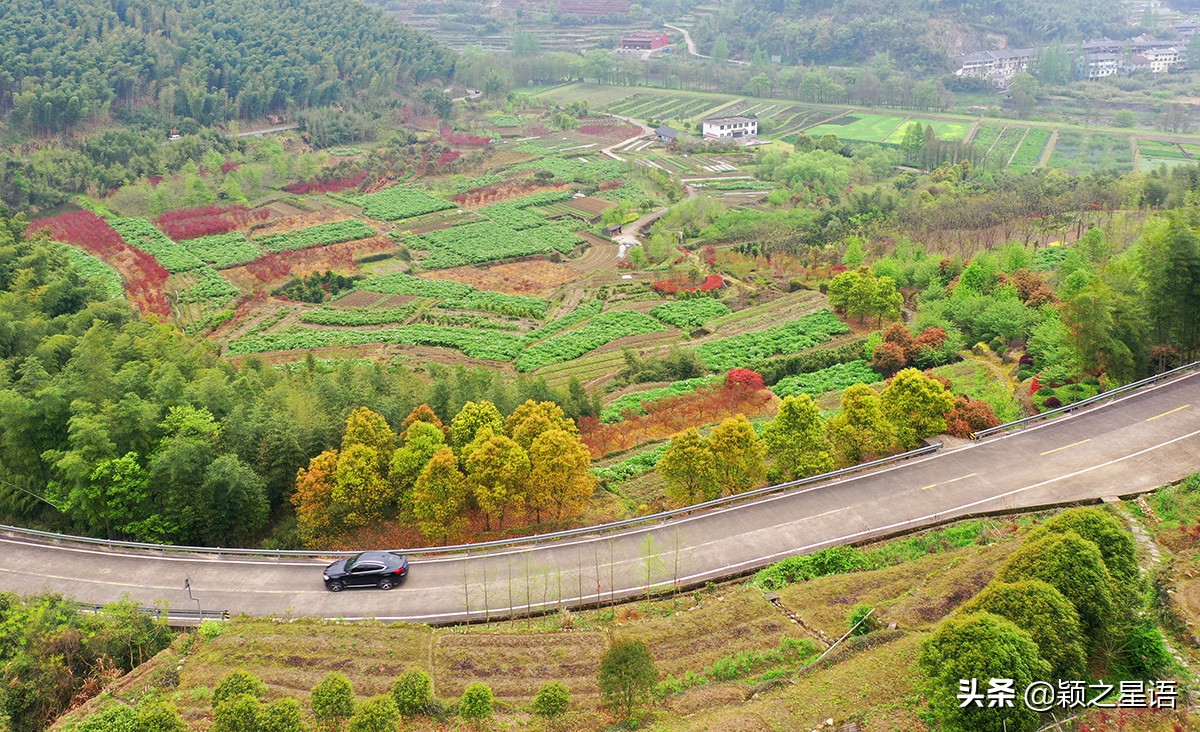 宁波牡丹花园有哪些,宁波古今牡丹园