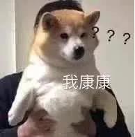 断货预警！还没买火龙果色的姐妹抓紧了