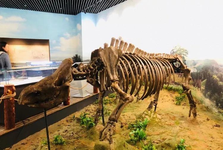 长春一日游有什么好玩的,长春一日游玩的地方都有哪些