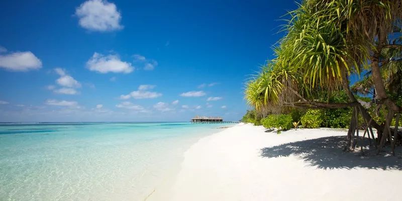 南阿里环礁,丽世岛度假村