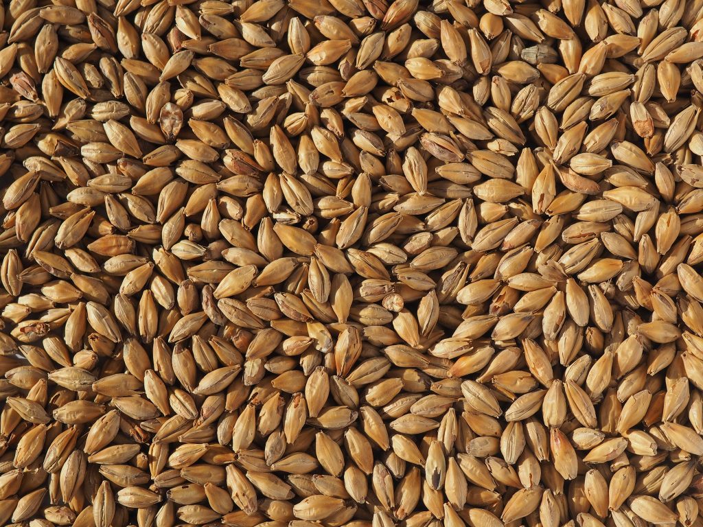 国内较好的麦芽品牌,单一麦芽三大品牌