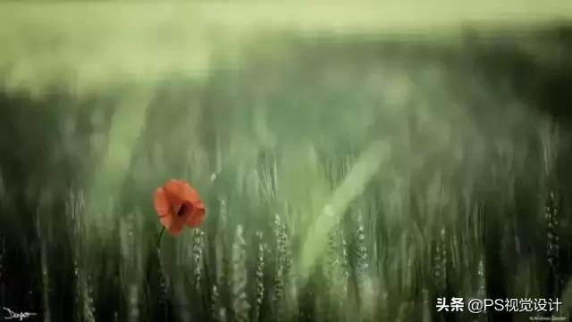 日常照片后期一定要用ps吗,摄影后期修图用ps什么版本