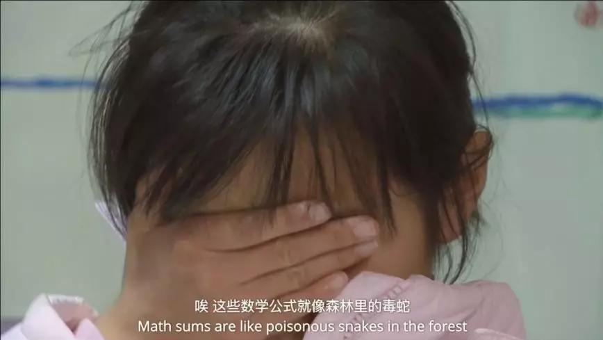 中国人生七年纪录片,人生七年纪录片中国版