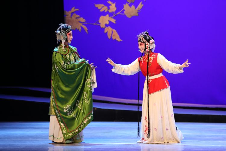 深圳戏院儿童剧,深圳戏院传统文化