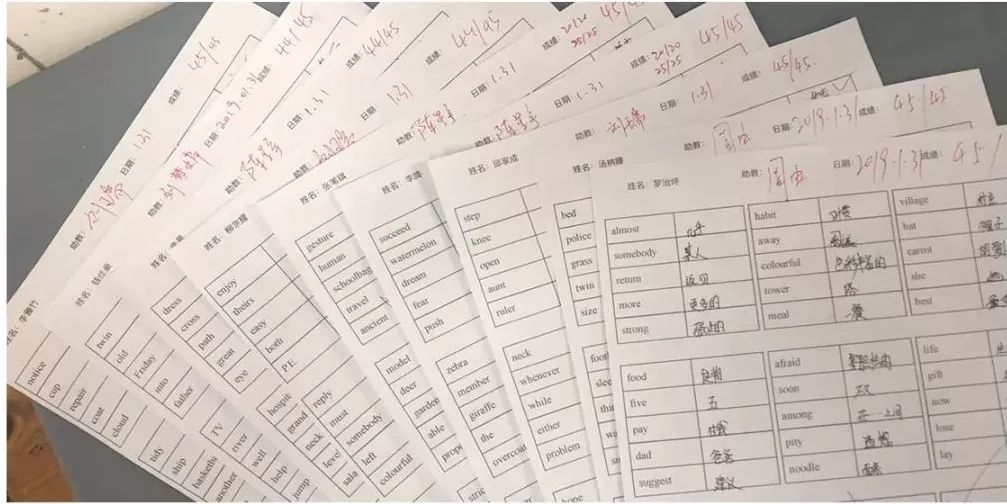 初中英语单词大全10000个带音标,2000个单词中考高频词