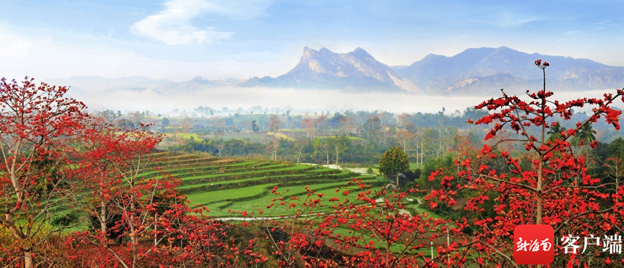 国庆棋子湾活动,十一活动劲爆嗨购等您来