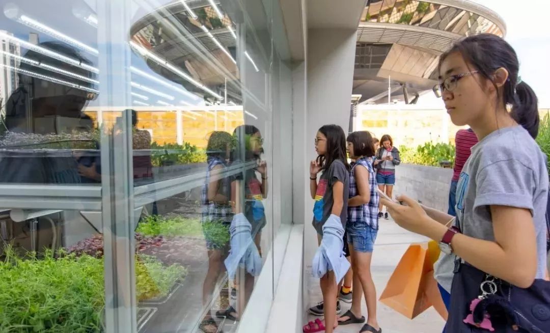 新加坡顶级购物中心,新加坡plazasingapura购物中心