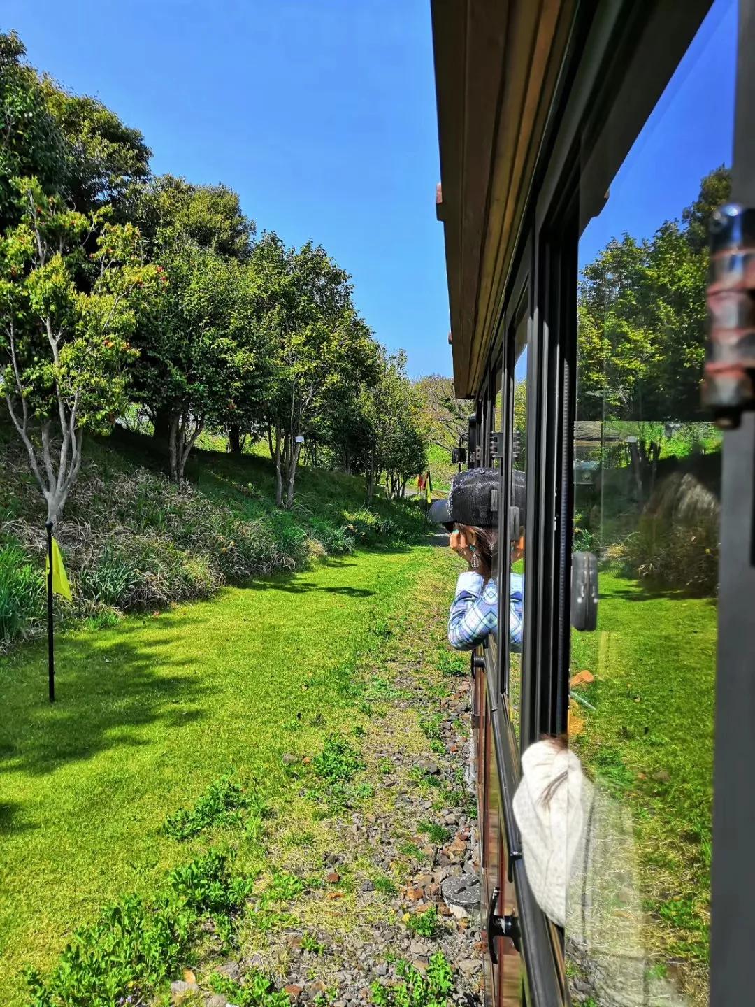 在济州岛发呆的日子,济州岛散心