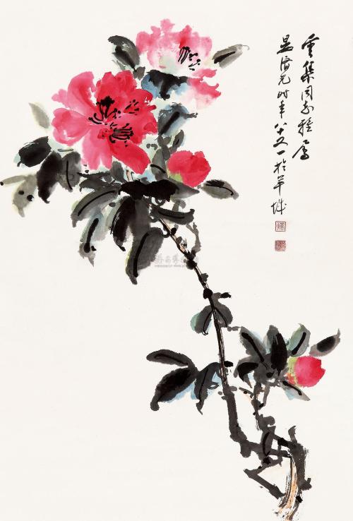 名家山茶花写意画,名家写意茶花