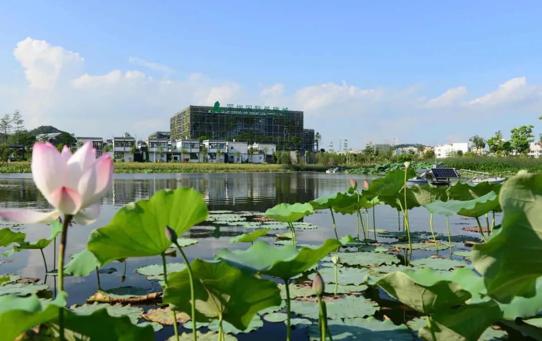 教育跟商业都有的楼盘值得买吗,高品质教育楼盘推荐