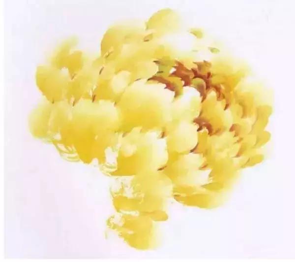 牡丹九大色系,九种牡丹调色法